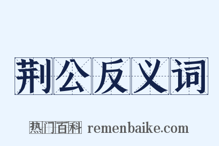 荆公反义词是什么意思的图片